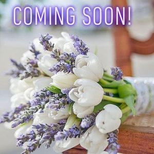 Items past this point are nxt in line to be listed